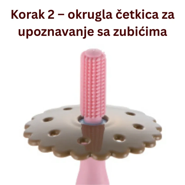 Richell Set za učenje pranja zuba 3+ meseca 5809