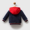 U. S Polo ASSN Teddy jaknica (teget-cveno) USB2538 7037