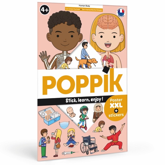 Edukativni poster s nalepnicama Otkrića: Ljudsko telo 2920