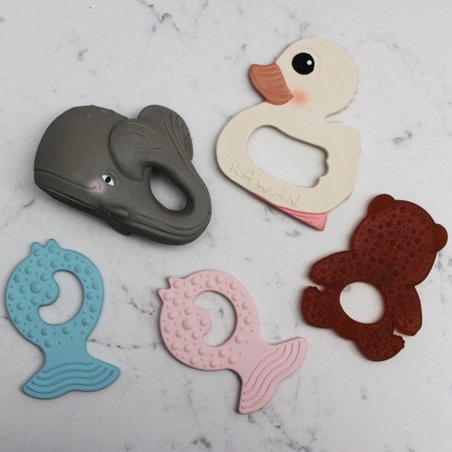 Hevea glodalica riba 4871