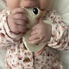Hevea Kawan glodalica za bebe 2301
