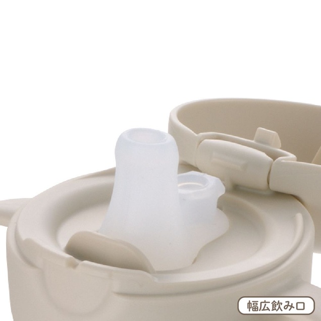 Richell Try set flašica za prvi samostalni gutljaj 200 ml + 300 ml 6790
