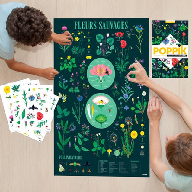 Edukativni poster s nalepnicama Otkrića: Botanika 7+ 4954